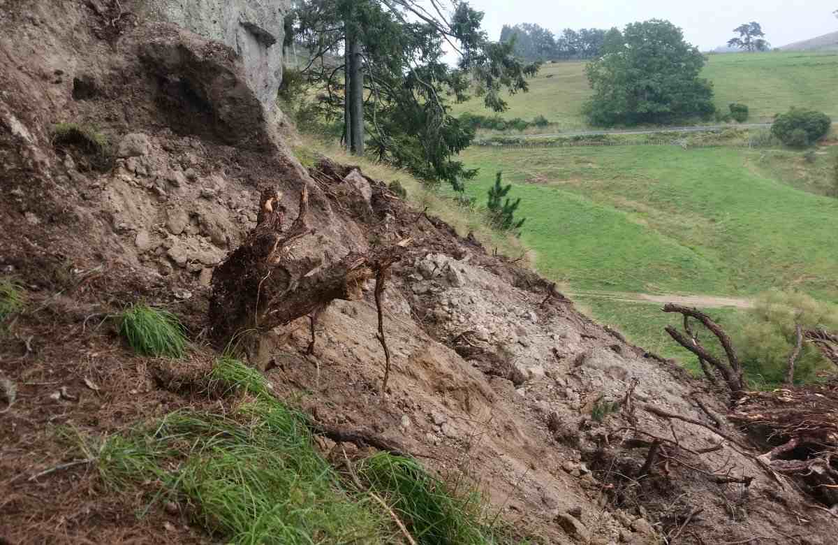 Dirt and rocky debris after tree fall on the upper tier at Wharepapa Rock